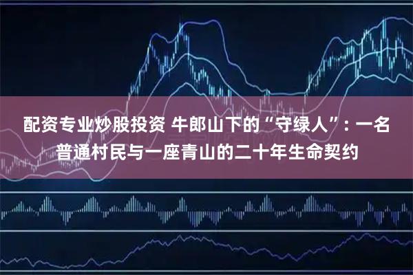 配资专业炒股投资 牛郎山下的“守绿人”: 一名普通村民与一座青山的二十年生命契约